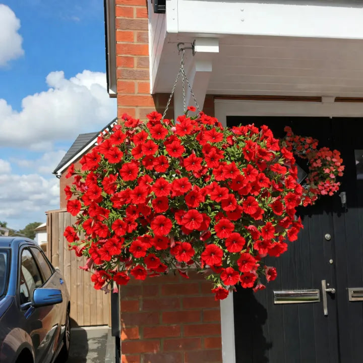 UV Resistant Artificial Petunias Flowers
