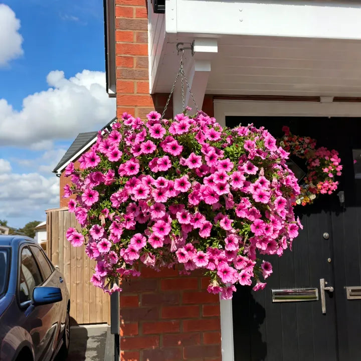 UV Resistant Artificial Petunias Flowers