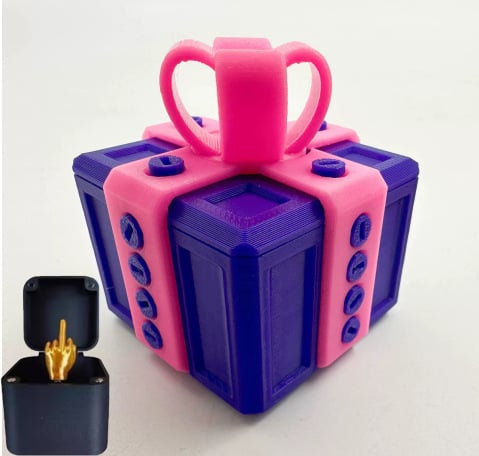 The Prank Box – Hilarious Screw Challenge with Middle Finger Surprise  Perfect Gag Gift for All Occasions!