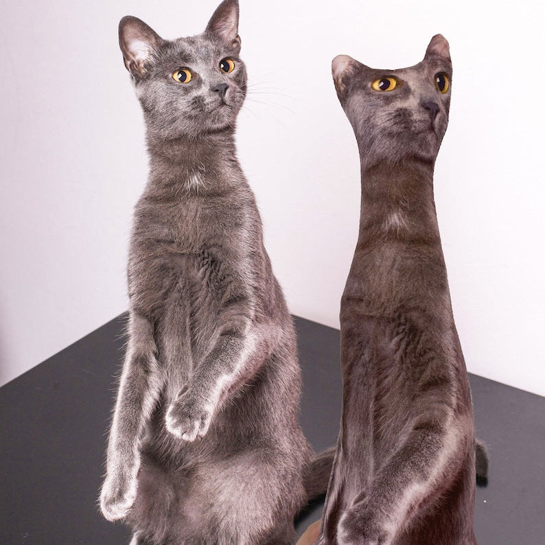 Ugly Pet Pillow Custom 3D Pet Portrait Throw Pillow