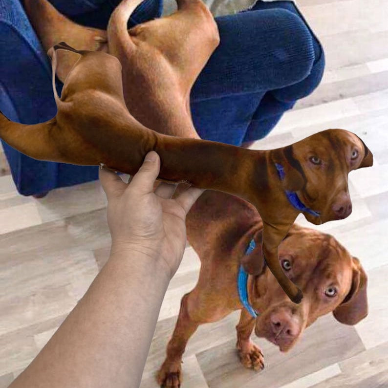 Ugly Pet Pillow Custom 3D Pet Portrait Throw Pillow