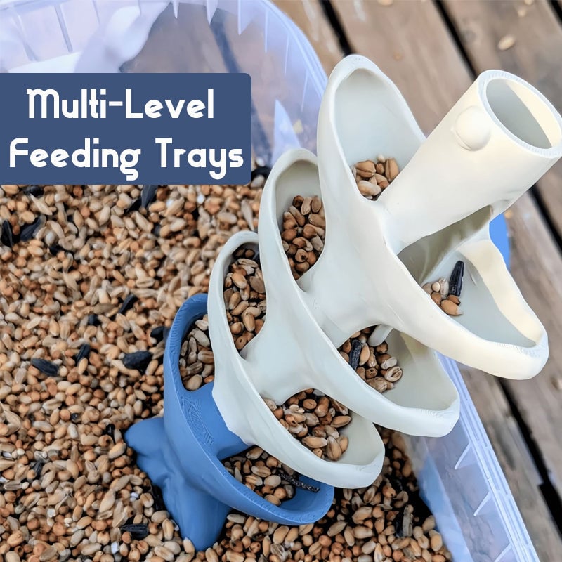 Fish Bones Hanging Bird Feeder
