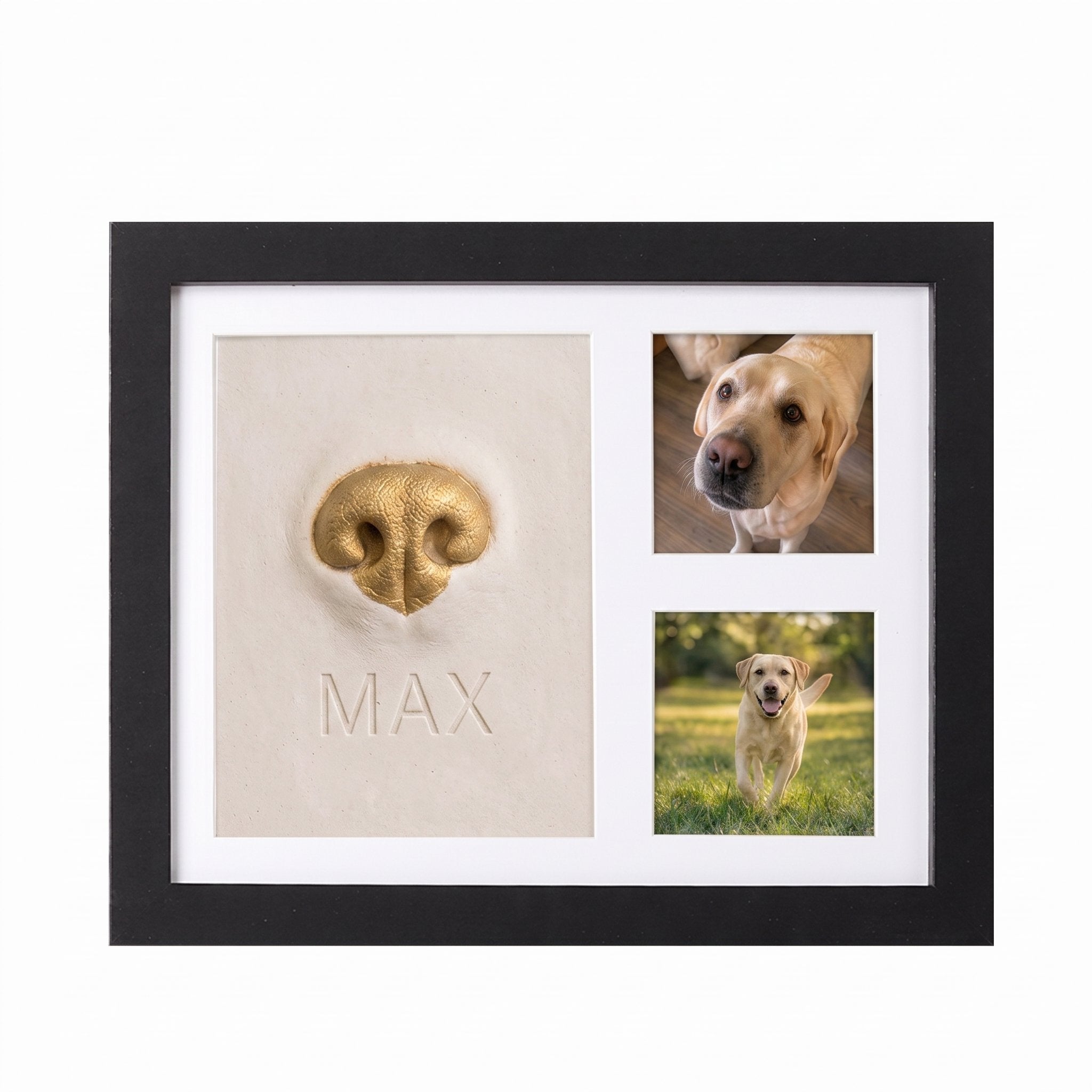 Pet Nose & Paw Print Keepsake Frame Kit