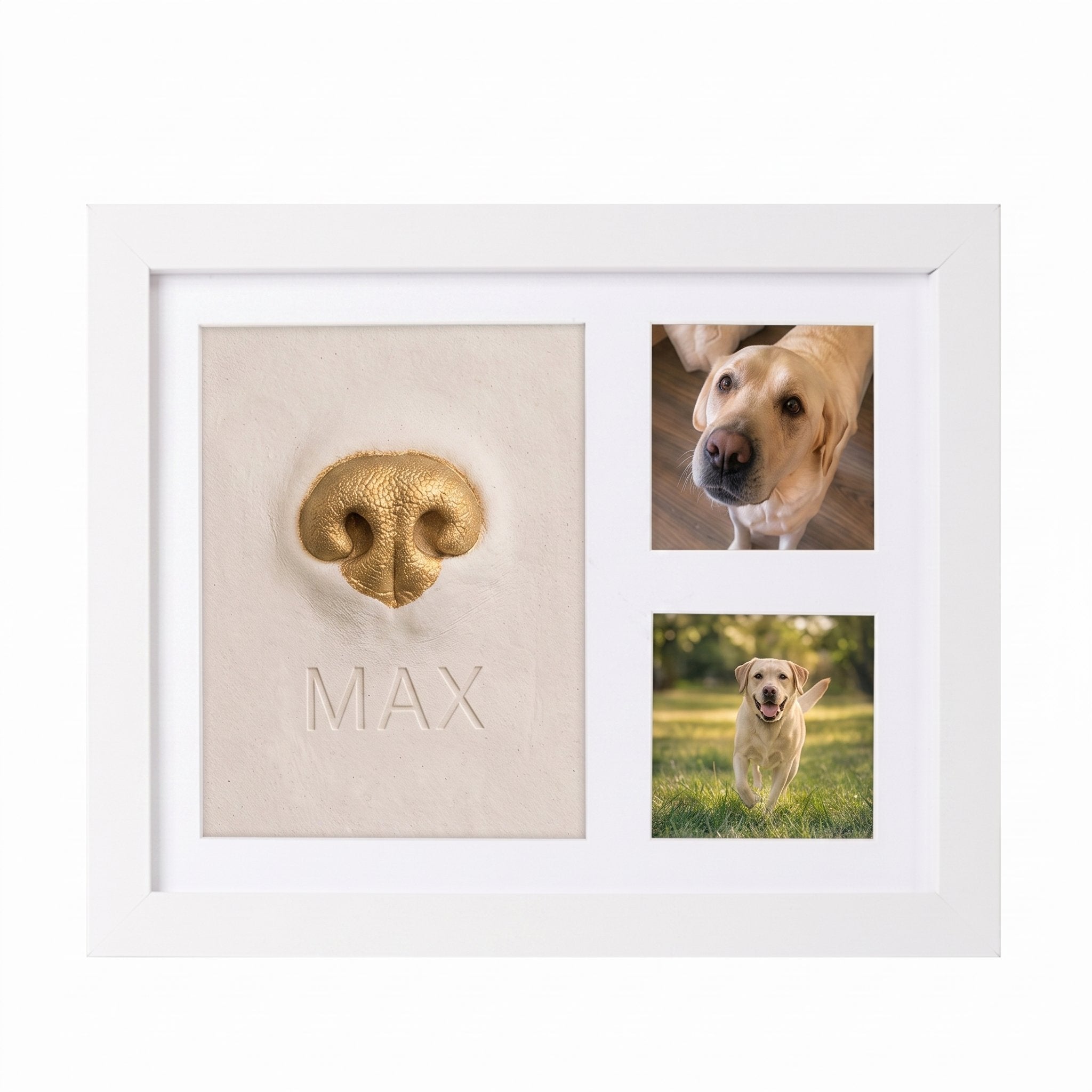 Pet Nose & Paw Print Keepsake Frame Kit