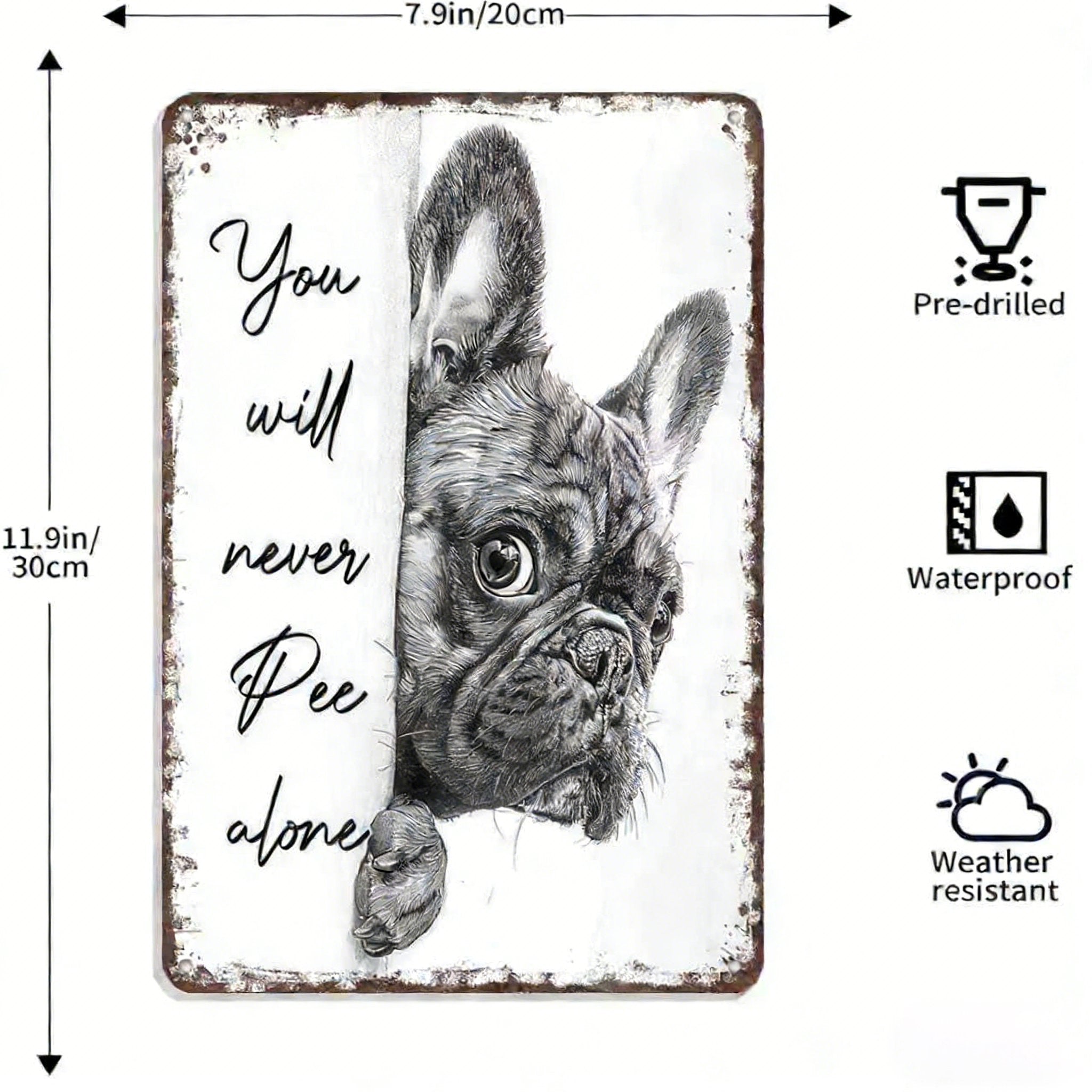 Vintage Black & White Cat Wall Art