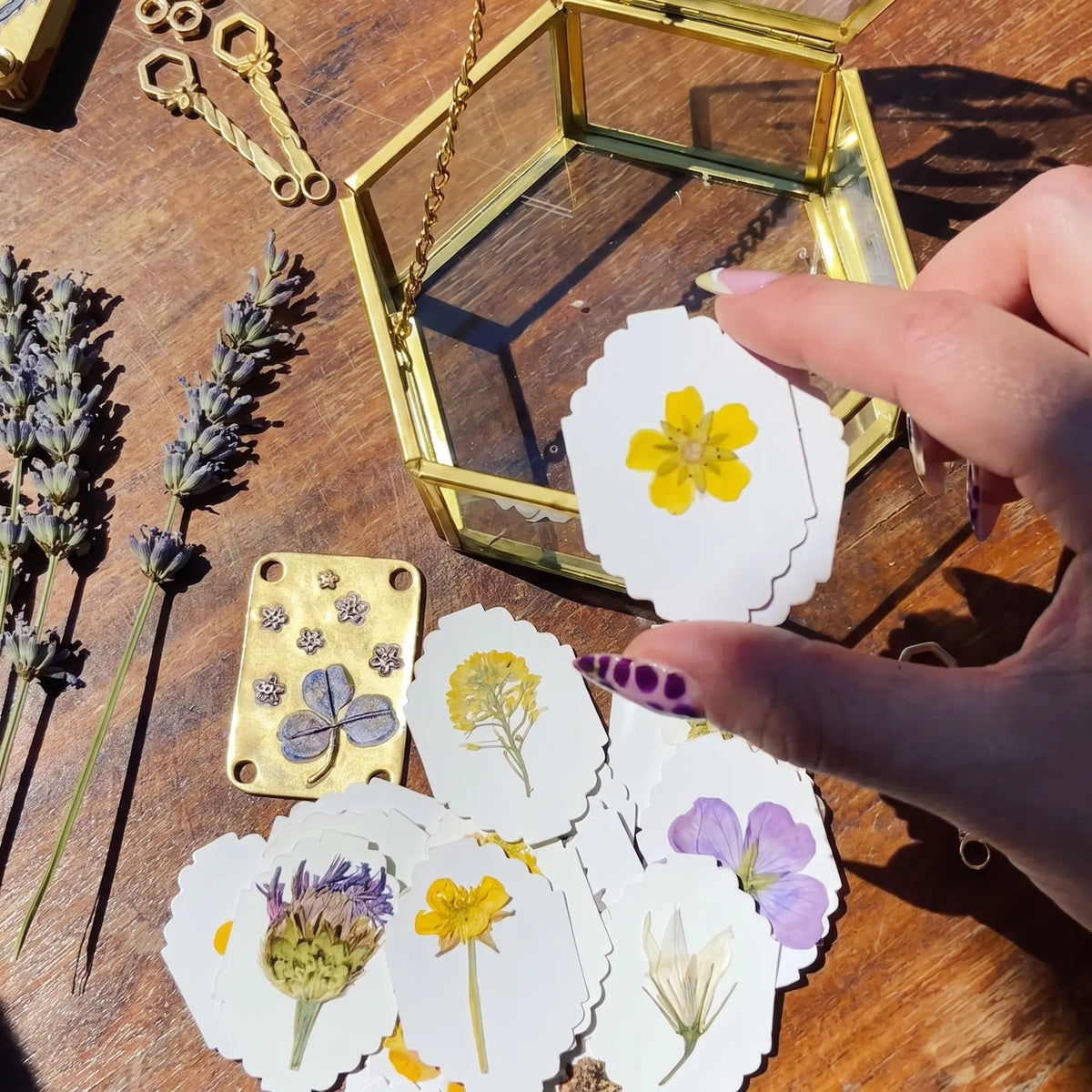 🌸 Mini Flower Press Kit – Turn Your Favorite Blooms Into Keepsakes