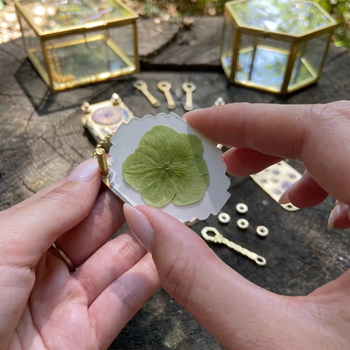 🌸 Mini Flower Press Kit – Turn Your Favorite Blooms Into Keepsakes