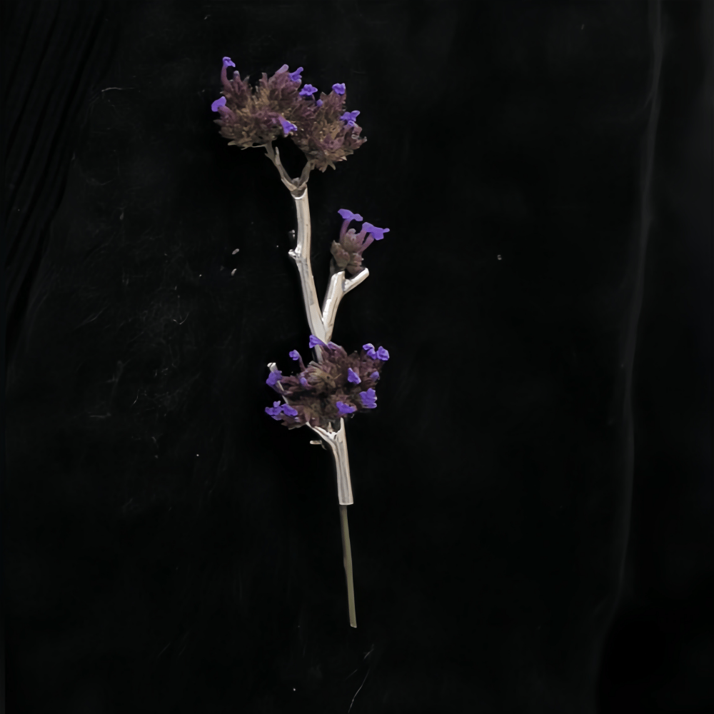 Silver Wearable Branch Flower Vase Brooch