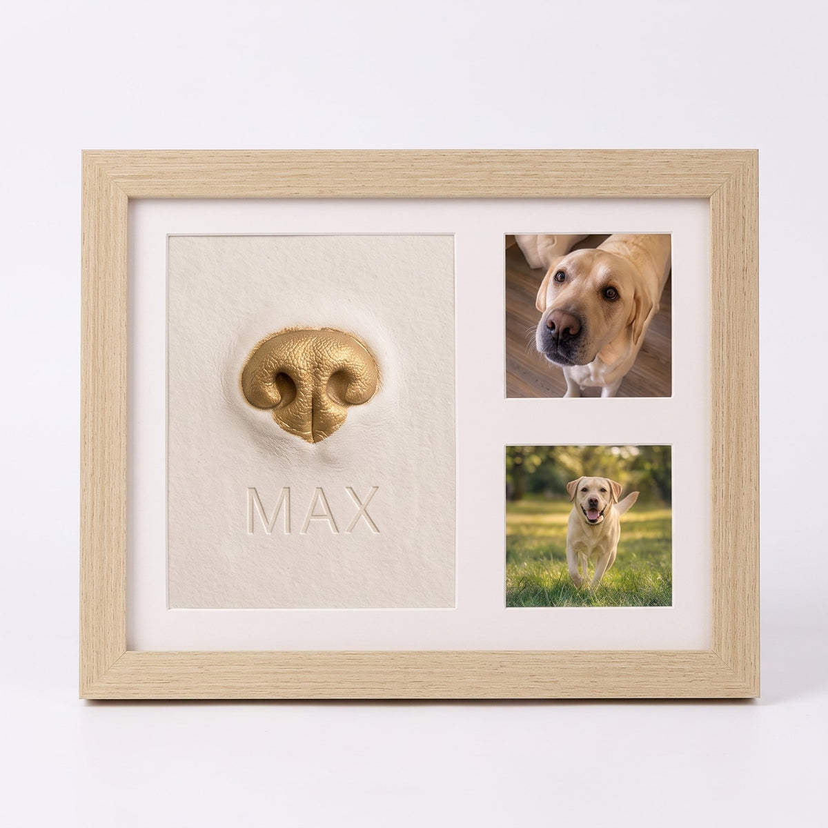 Pet Nose & Paw Print Keepsake Frame Kit