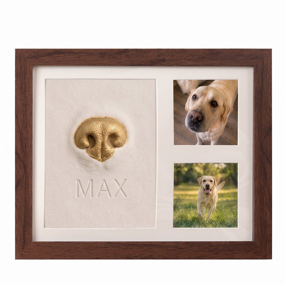 Pet Nose & Paw Print Keepsake Frame Kit