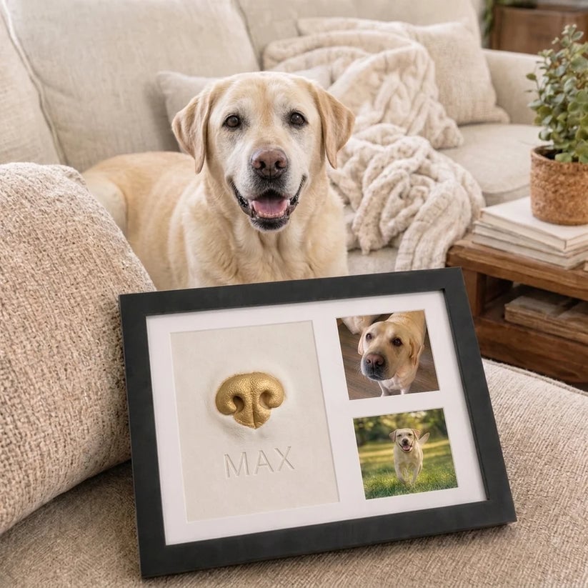Pet Nose & Paw Print Keepsake Frame Kit