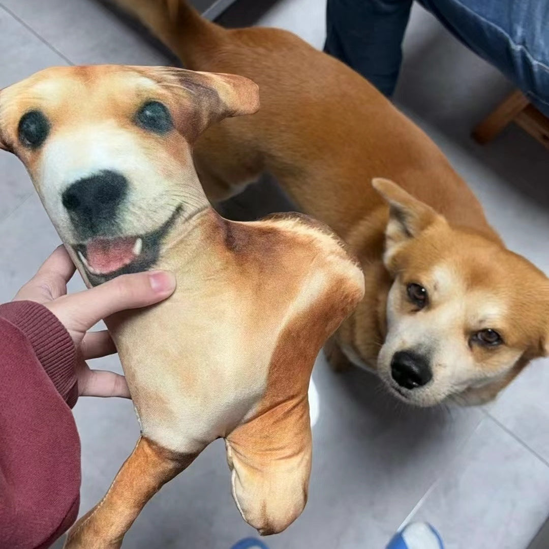 Ugly Pet Pillow Custom 3D Pet Portrait Throw Pillow