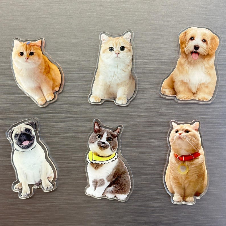 Custom Pet Magnet