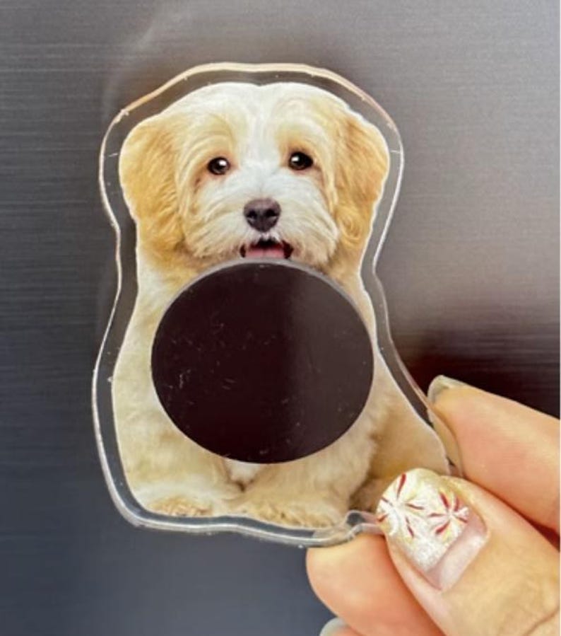 Custom Pet Magnet