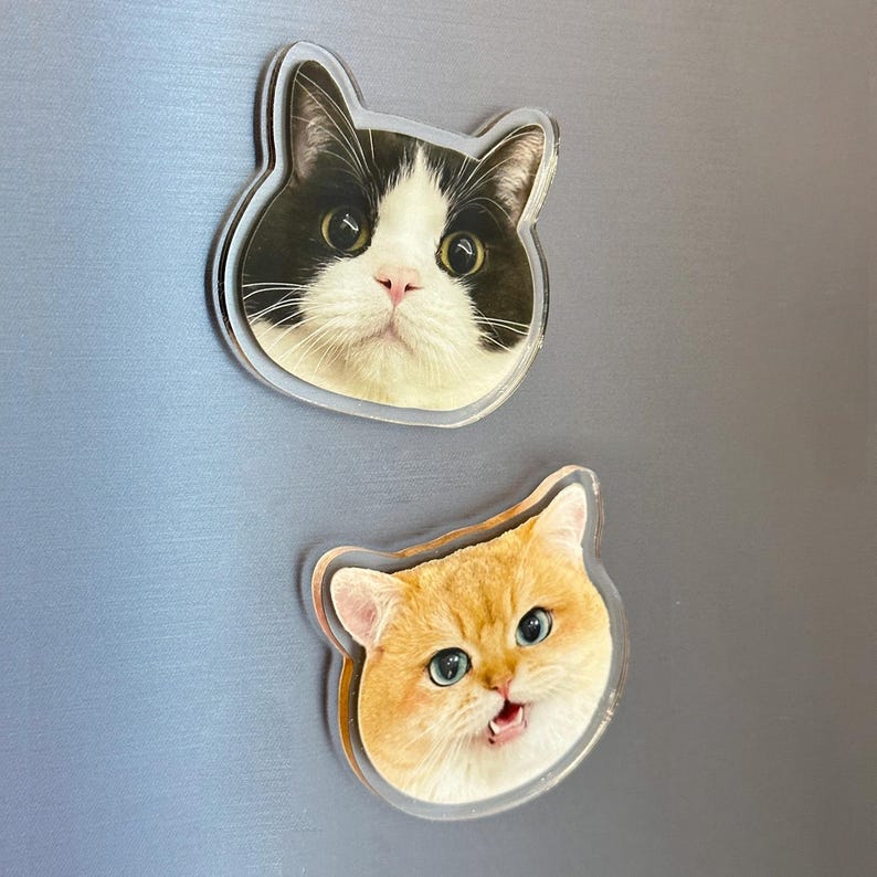 Custom Pet Magnet