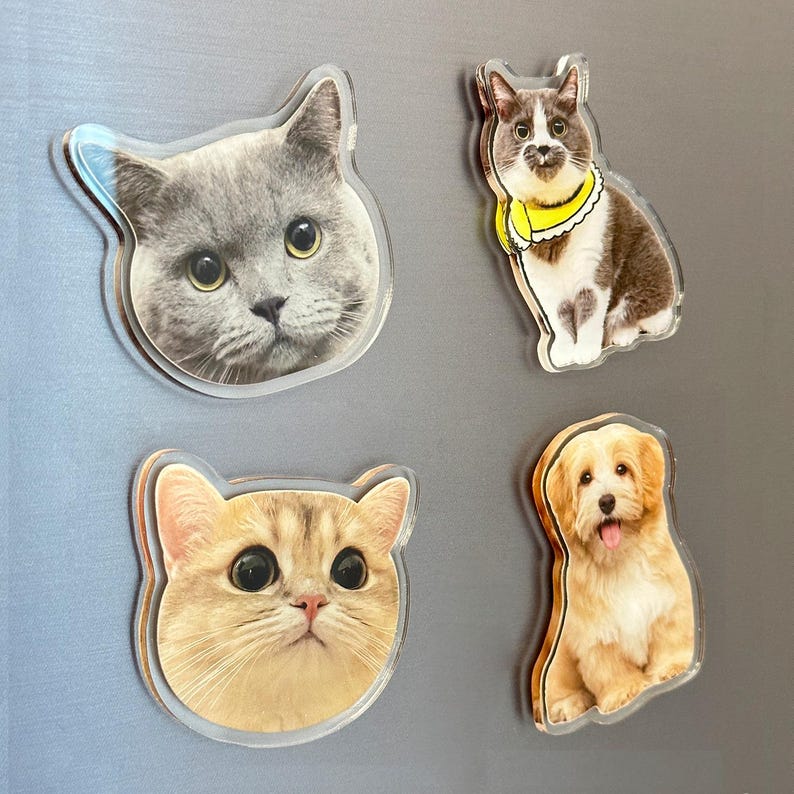 Custom Pet Magnet