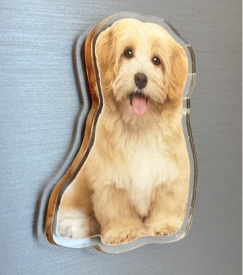 Custom Pet Magnet