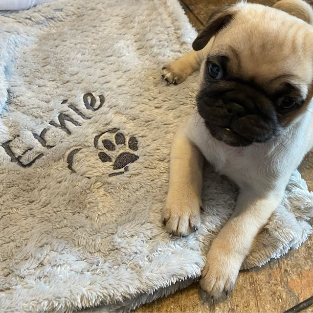 Personalized Warm Pet Blanket for Comfort & Unique
